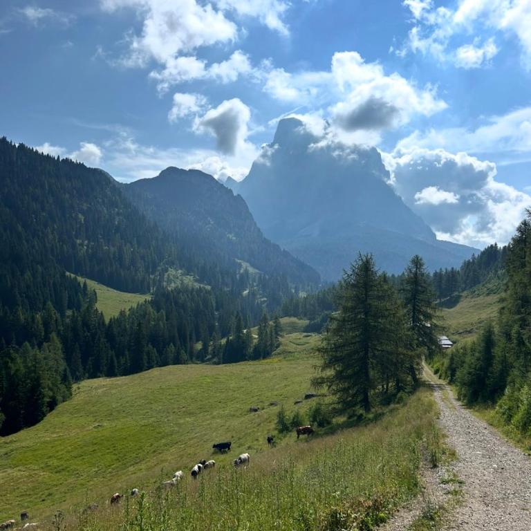 Al Pomer Dolomites Lodges Val di Zoldo - Appartamento con 2 Camere da Letto - 15