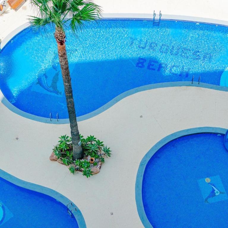 Apartamento Turquesa Beach 310B - Grupo Turis - Apartment - 8