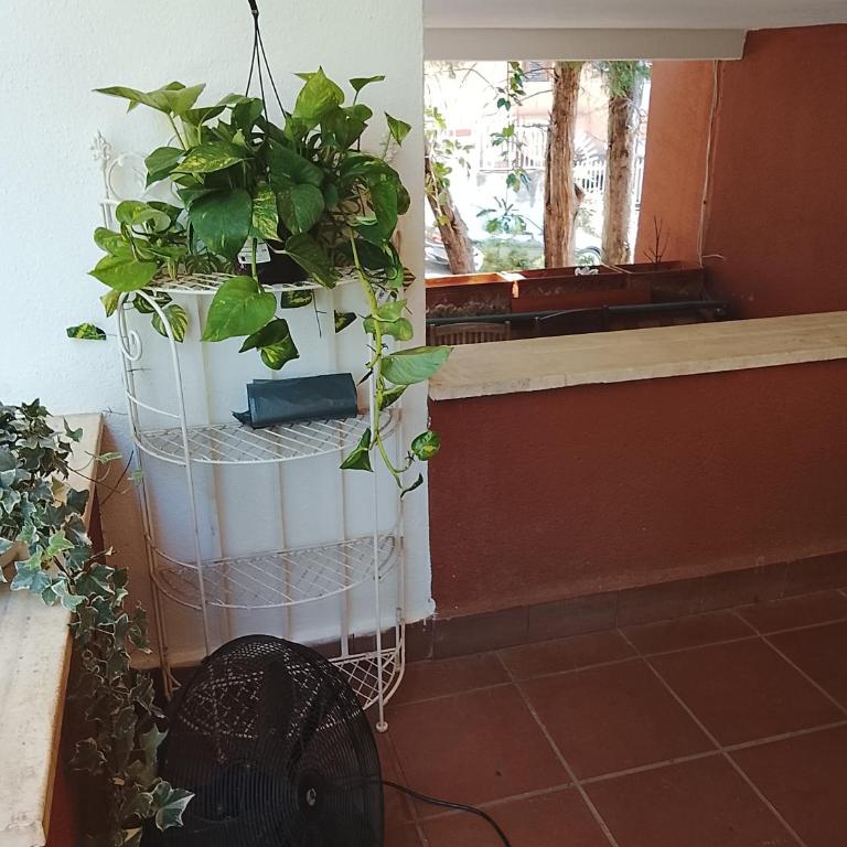 Sam house - Two-Bedroom House - 12