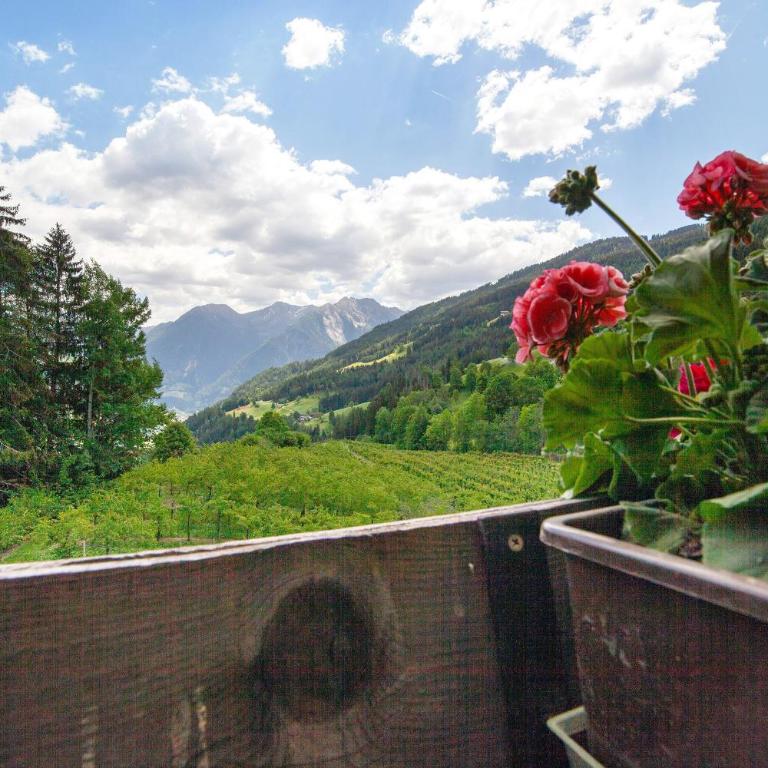 Lienelehof - Apartamento Superior de 1 dormitorio con balcón - 6