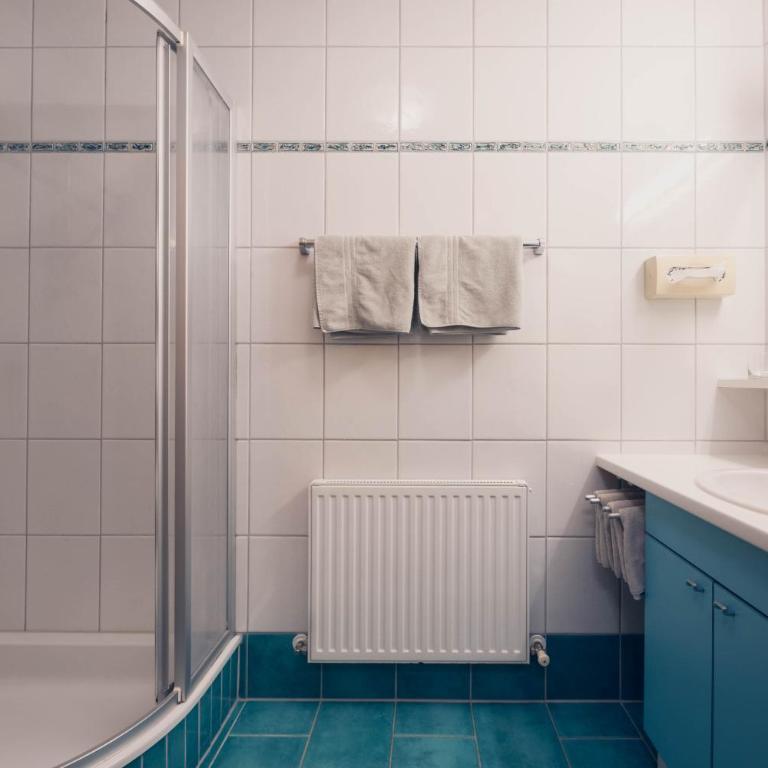 Ladestatthof - Comfort Apartment mit 2 Schlafzimmern - 4