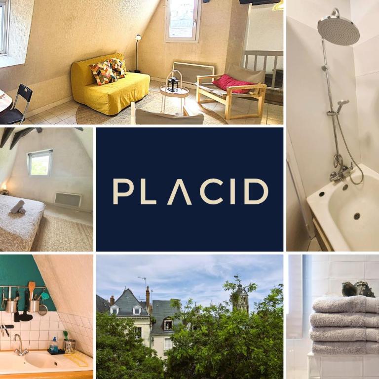 L'Echappée Belle, charmant T2, Vieux Tours - Apartamento de 1 dormitorio - 2