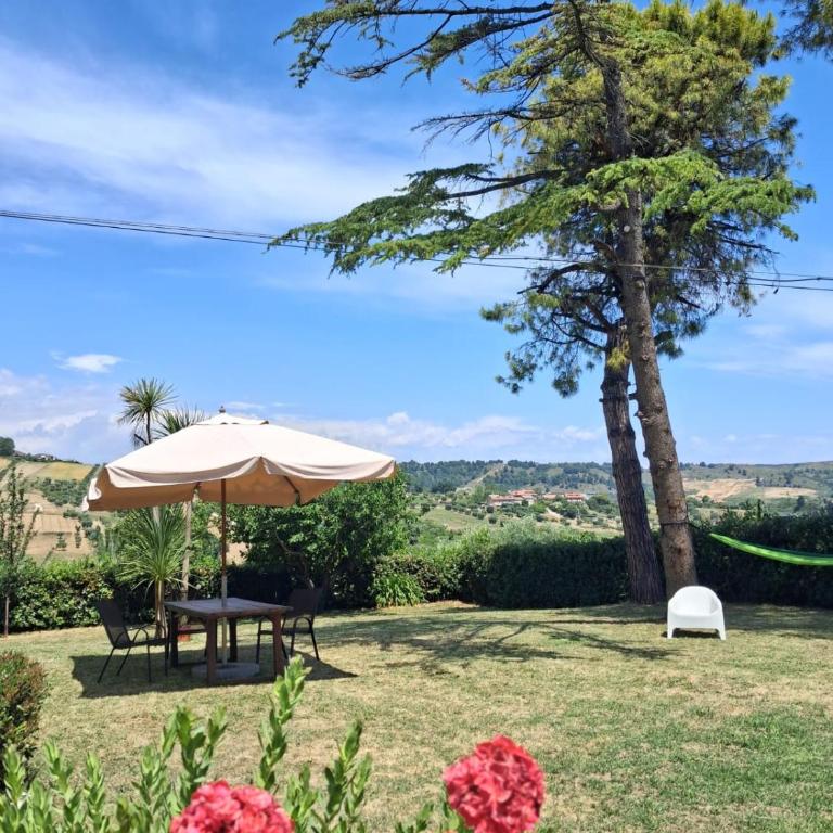 Casa Vacanze Il Viaggiatore - Casa Vacanze - 13