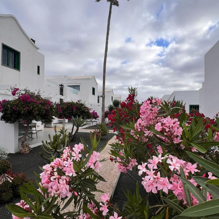 Hyde Park Lane - Apartamento - 6