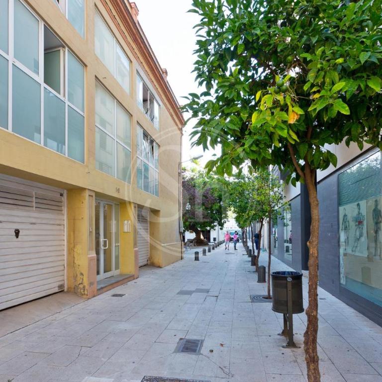 Charming apartment near the beach - Apartamento de 1 dormitorio - 28