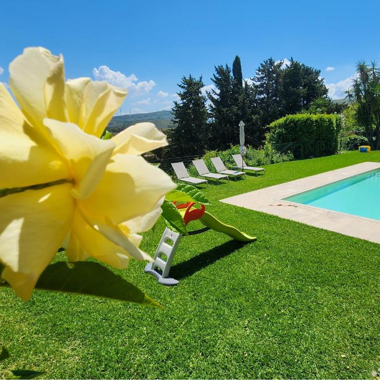 Villa Tommaso Maruggi, Sicilia, con Jacuzzi e piscina privata - Four-Bedroom Villa with Garden View - 36