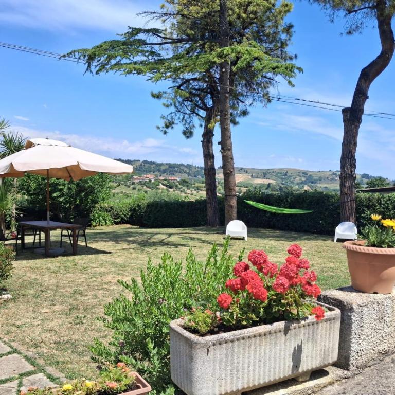 Casa Vacanze Il Viaggiatore - Casa Vacanze - 15