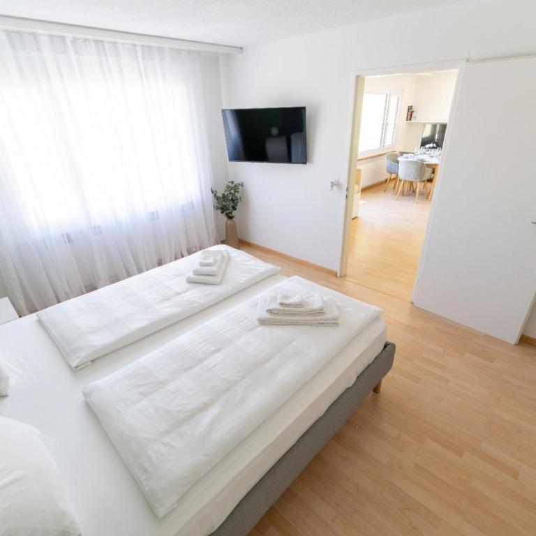 Cozy Swiss Apartment - City & Mountain view - Apartment mit 1 Schlafzimmer - 11