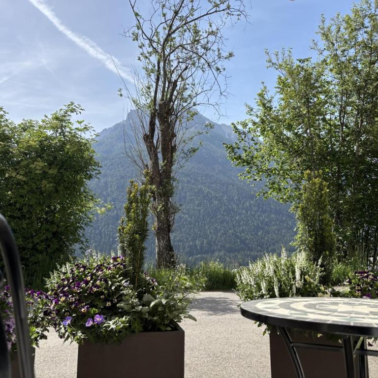 Bergmoment Stubai - Apartment mit 1 Schlafzimmer - 14