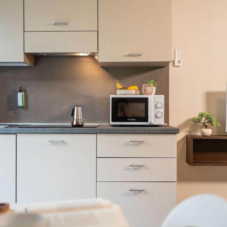 Club del Sole Le Palme Lazise Family Collection - One-Bedroom Superior Apartment - Pet not allowed - 7