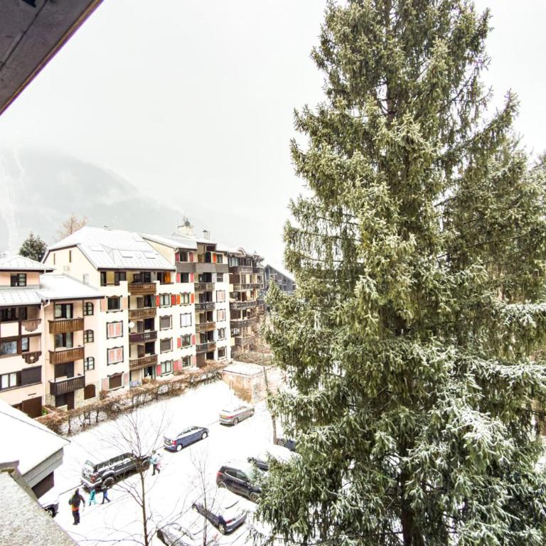Cosy appartement au cœur de Chamonix - Studio - 21