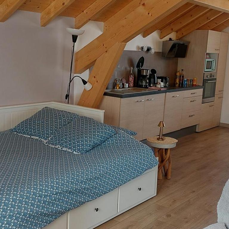 Appartements confort entre lac Léman et Chamonix - Studio - 8