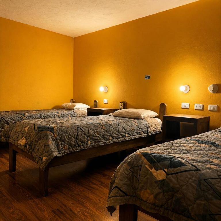 Hostal Café Tiana - Single Bed in Mixed Dormitory Room - 1