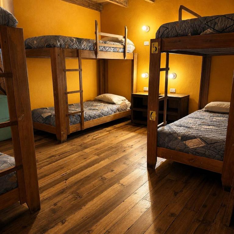 Hostal Café Tiana - Single Bed in Mixed Dormitory Room - 2
