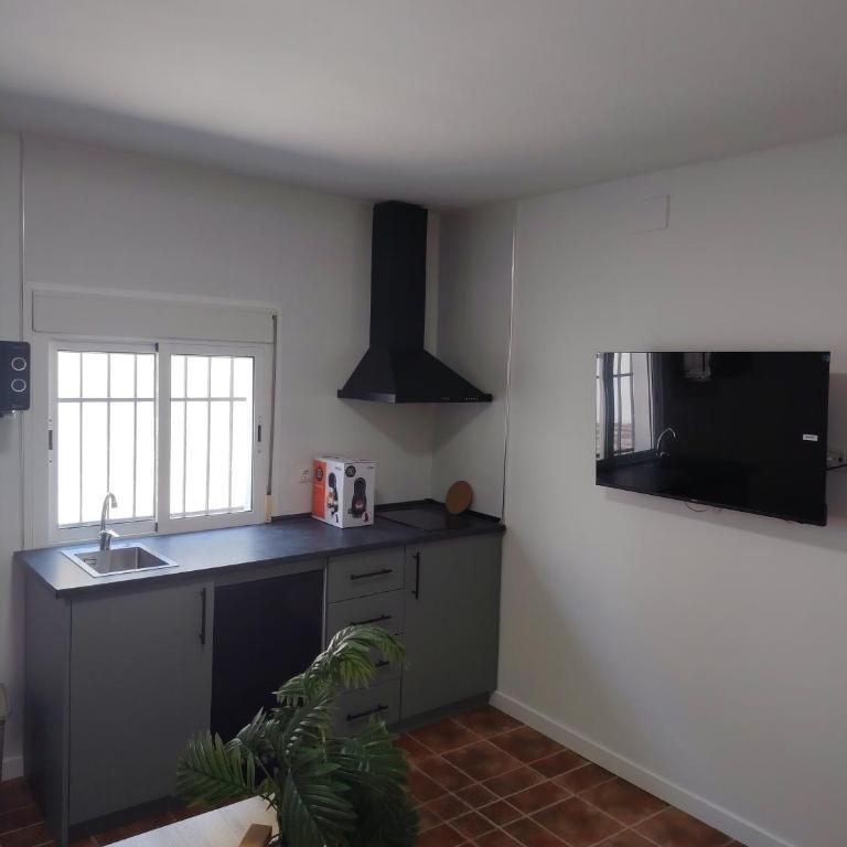 Apartamentos Los Sánchez - Apartamento de 2 dormitorios - 4