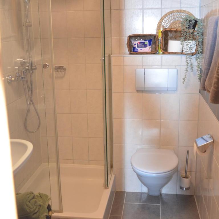 Bergbauernhof Obergaisberg - Apartment mit 2 Schlafzimmern und Dusche - 24