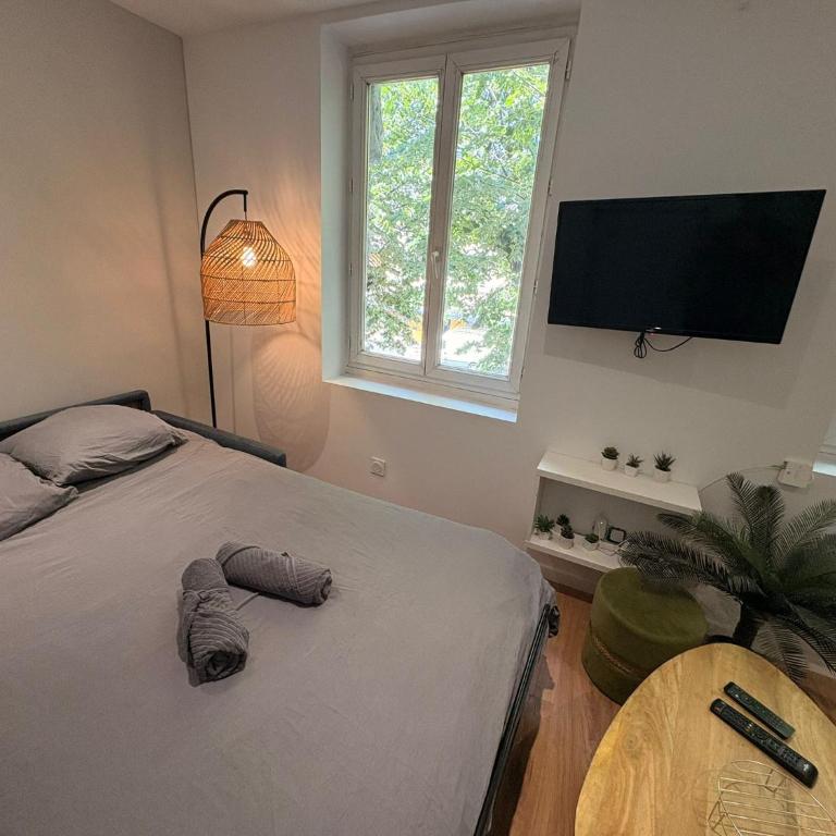 Charmant studio tout équipé au cœur de la ville - 452 - Studio - 6