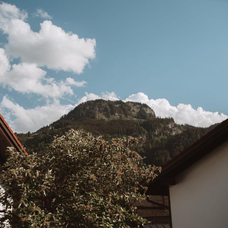 ALPEN STUDIO - moderne Ferienwohnung mit Bergblick & Südterrasse in Bad Hindelang - Apartment mit 1 Schlafzimmer - 32