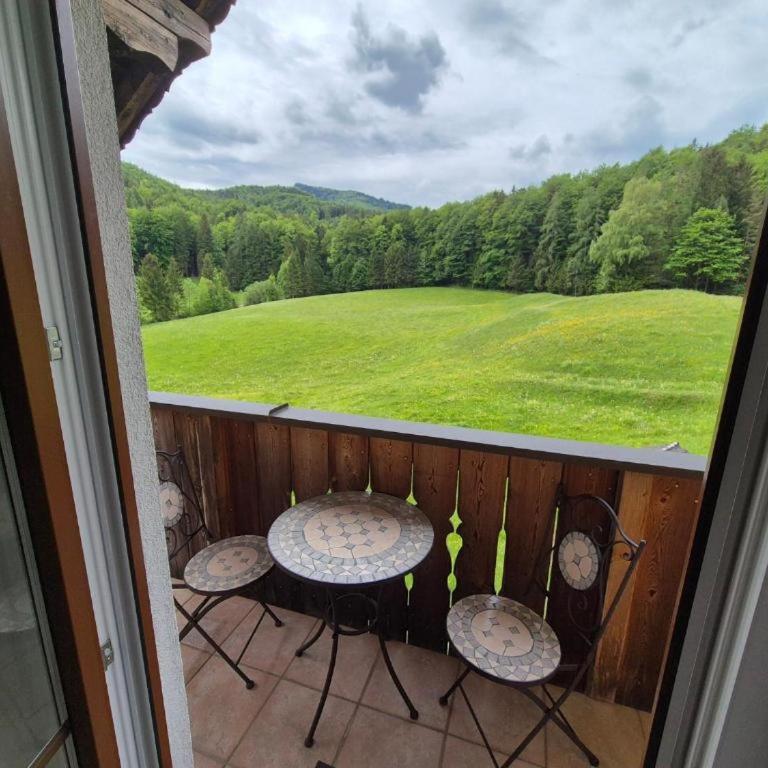 Urlauben im Grünen - Appartamento con 1 Camera da Letto con Vista - 2