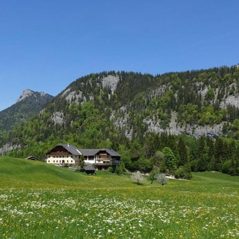 Urlauben im Grünen - Appartamento con 1 Camera da Letto con Vista - 6