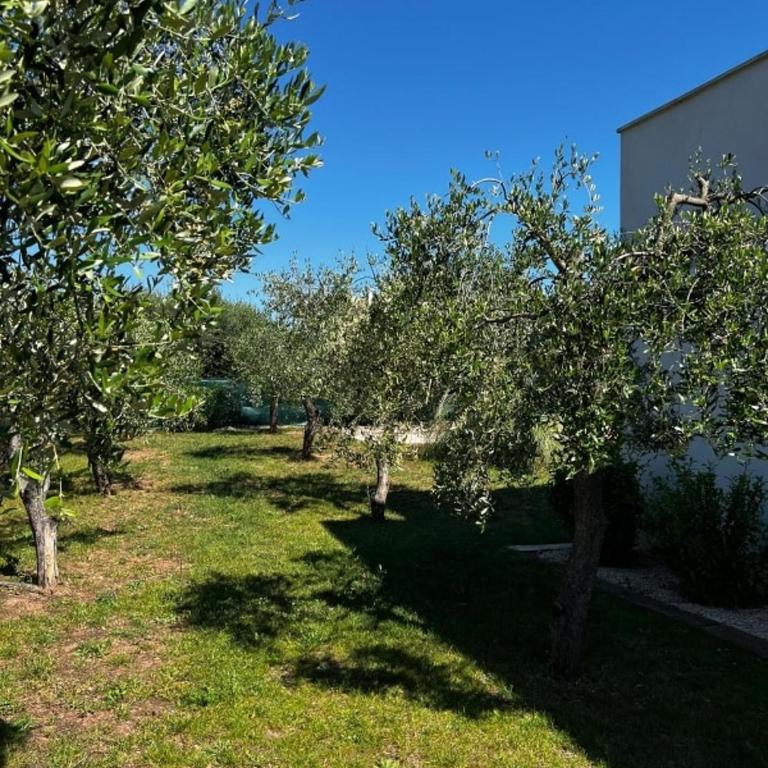 Exceptional Villa with Pool in Peymeinade - Villa 3 Chambres - 25