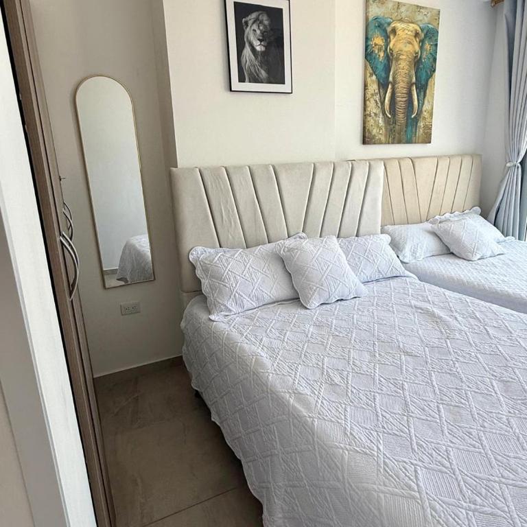 Apartamento en Rodadero, elegante y amplio a una cuadra del mar - Apartamento de 2 dormitorios - 2