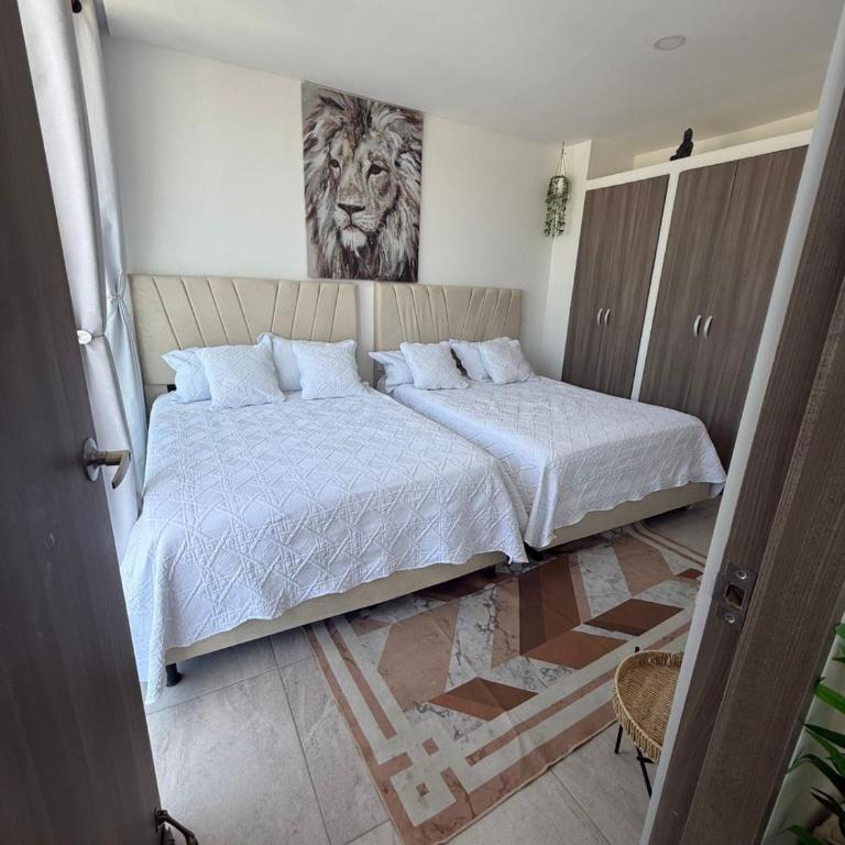 Apartamento en Rodadero, elegante y amplio a una cuadra del mar - Apartamento de 2 dormitorios - 6