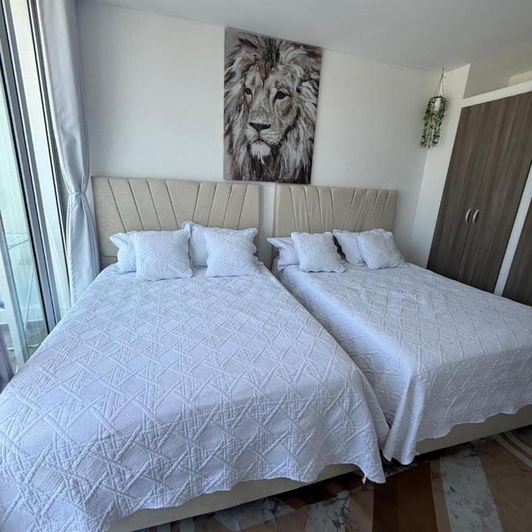Apartamento en Rodadero, elegante y amplio a una cuadra del mar - Apartamento de 2 dormitorios - 7