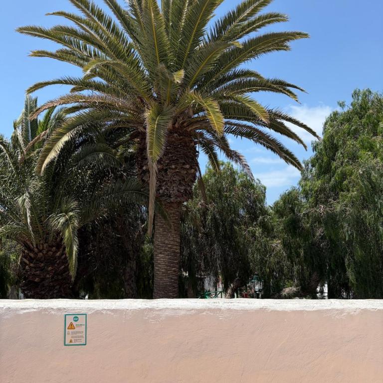 Oasis del Marinero - Apartamento de 2 dormitorios - 28