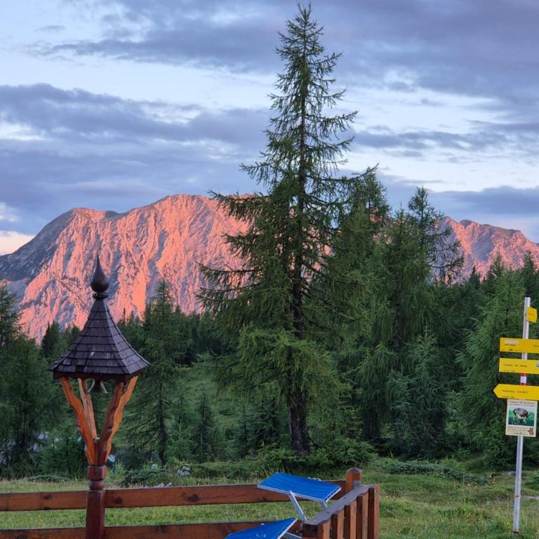 Tauplitzhaus der Naturfreunde - Naturfreundehaus auf der Tauplitzalm - Schutzhütte - Chambre Familiale - Vue sur Montagne - 13