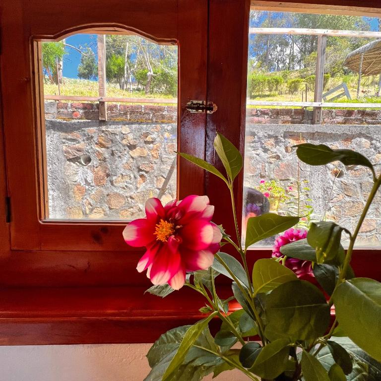 Hostal Doña Clarita Inn - Triple Room with Private Bathroom - 6