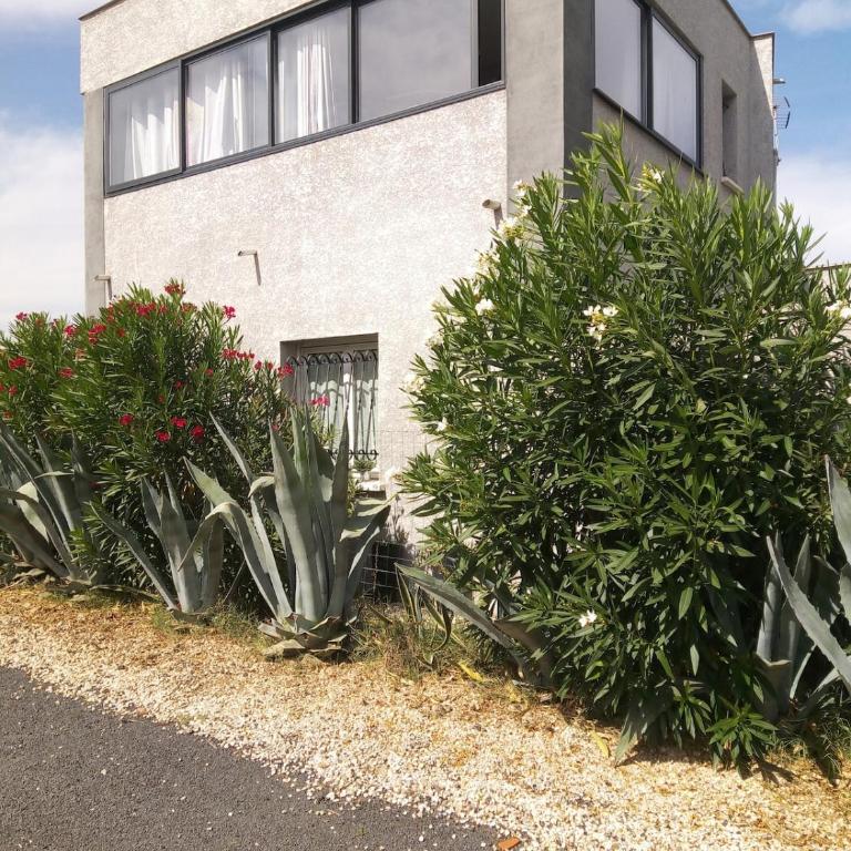 Villa d architecte climatisée classée 4 étoiles - Maison 3 Chambres - 49