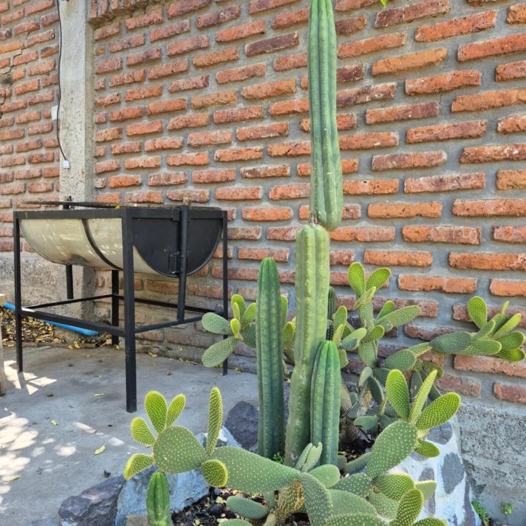 Cabañas Carolín Cacao Castaño - Family Room with Balcony - 14