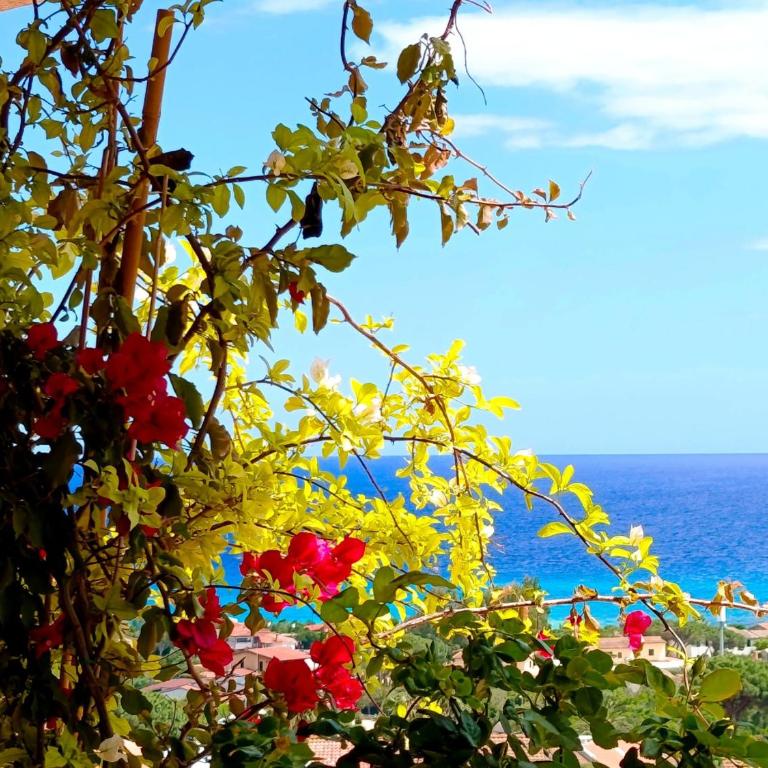 Villa Milena Costa Rei VISTA MARE - Villa con 2 Camere da Letto - 14