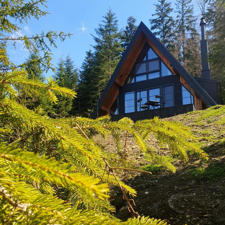 Vrleti Tare - Gorje - Two-Bedroom house without sauna - 10