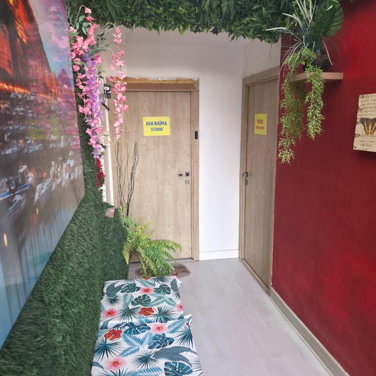 Estudio Nadia - Apartamento de 1 dormitorio - 8