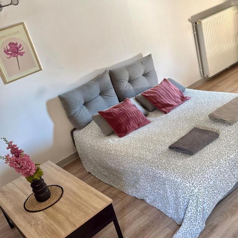L'Ecrin boisé - Wifi-Fibre - Hyper Centre - Appartement 1 Chambre - 4