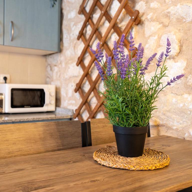Garden HappyAlicante - Appartement-Studio avec 1 Lit Double - 16