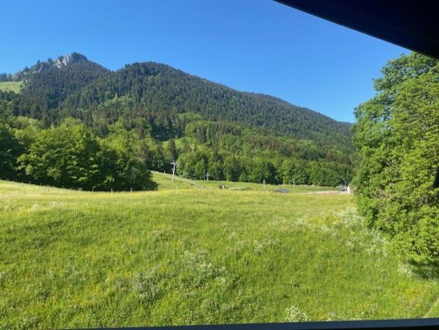 Studio Belle Neige - Appartement 1 Chambre - 13
