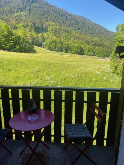 Studio Belle Neige - Appartement 1 Chambre - 14