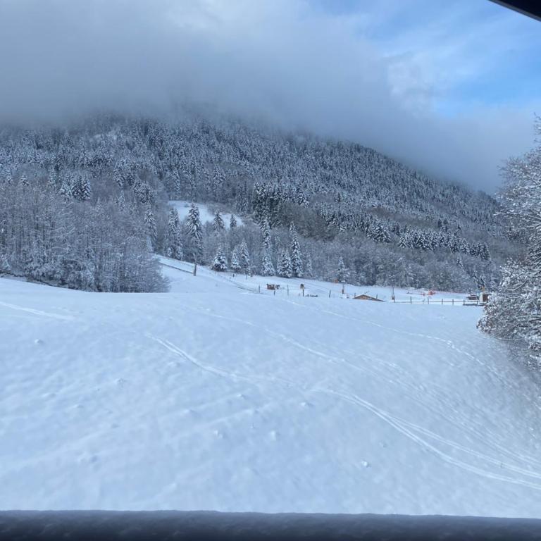 Studio Belle Neige - Appartement 1 Chambre - 16
