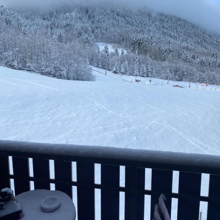 Studio Belle Neige - Appartement 1 Chambre - 17