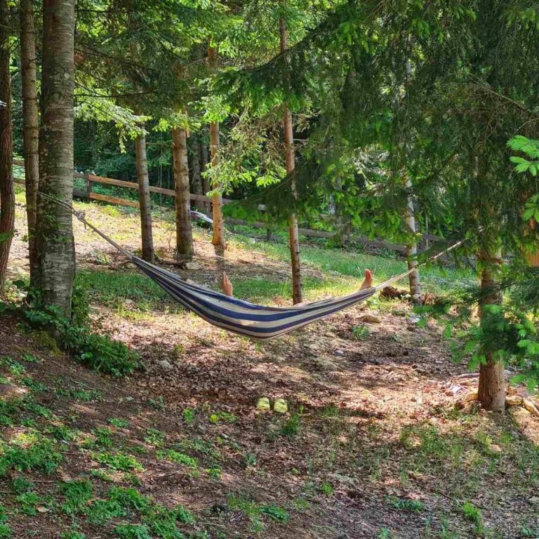 Vrleti Tare - Vrleti - Three-Bedroom house with sauna - 18