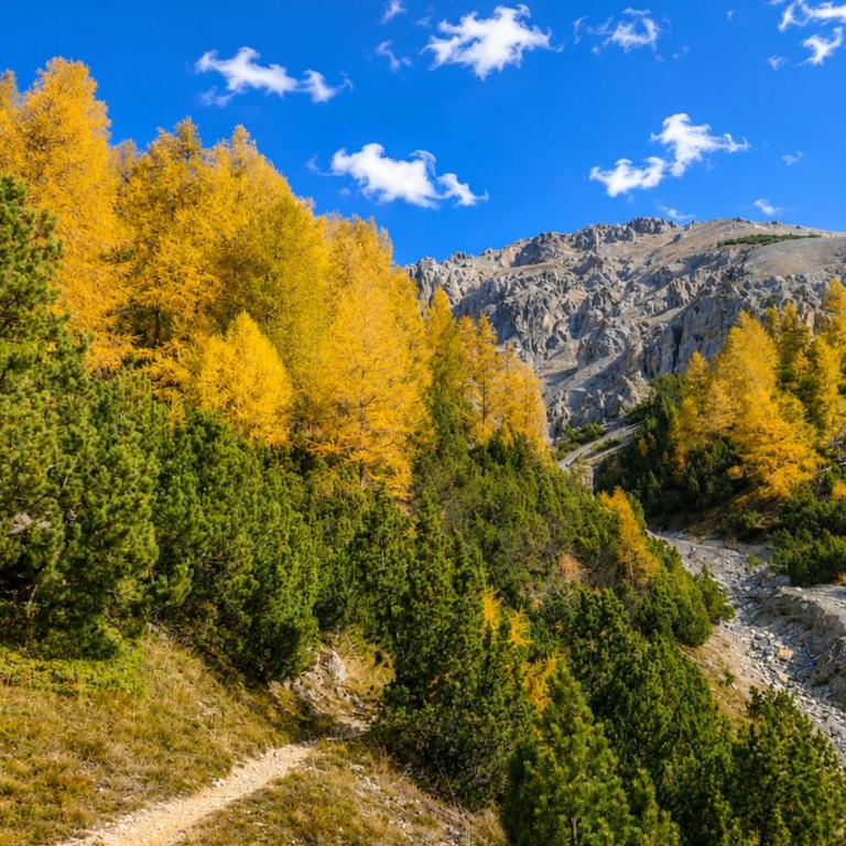Le Panorama - Mountains - Peace and quiet - Hiking - Skiing - Apartamento - 12