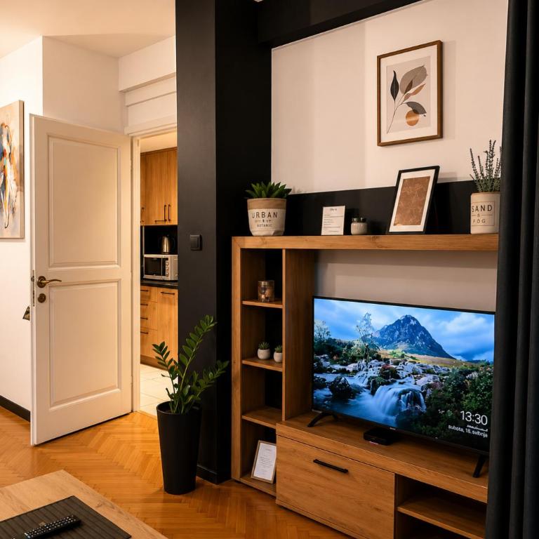 Visit Budva Apartment - One-Bedroom Apartment - 2
