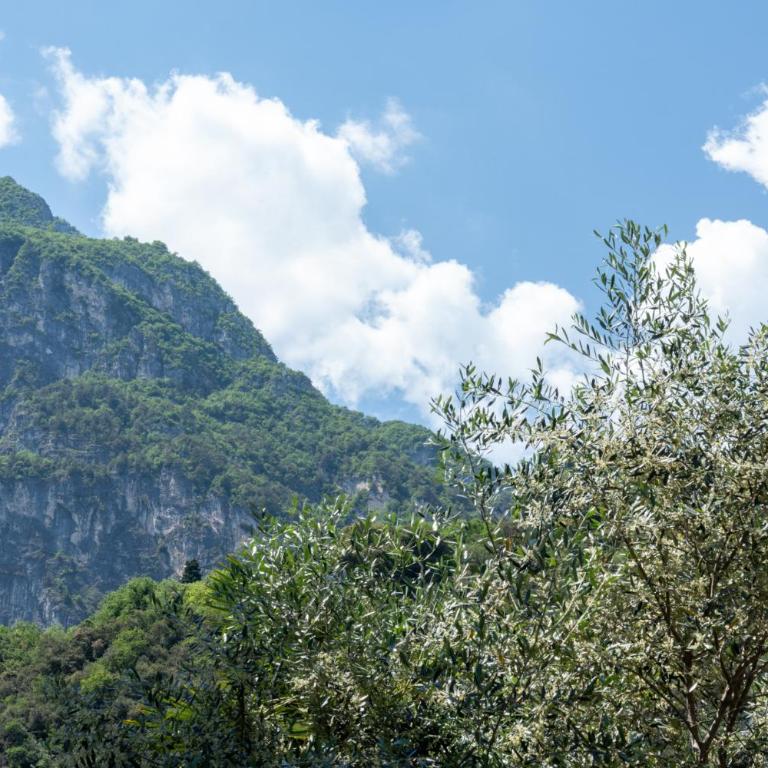L'Olivo Apartment - Garden & Secure Bike Room - Appartamento con 2 Camere da Letto - 82
