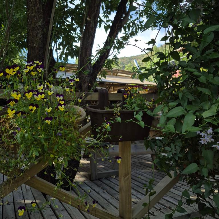 Cabañas Carolín Cacao Castaño - Double Room with Private Bathroom - 21