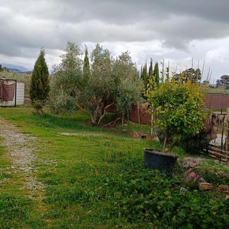 Casita del Romero Ronda - Apartamento de 1 dormitorio - 3