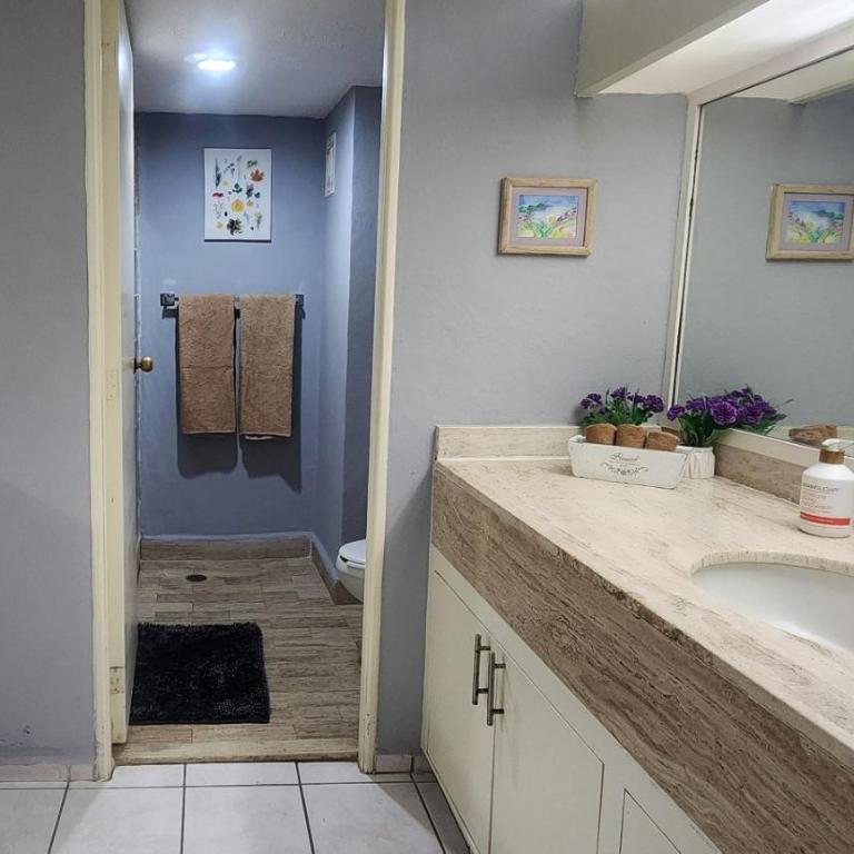 Casa Vista Hermosa - Beautiful Beach front condo - Apartment mit 1 Schlafzimmer - 32
