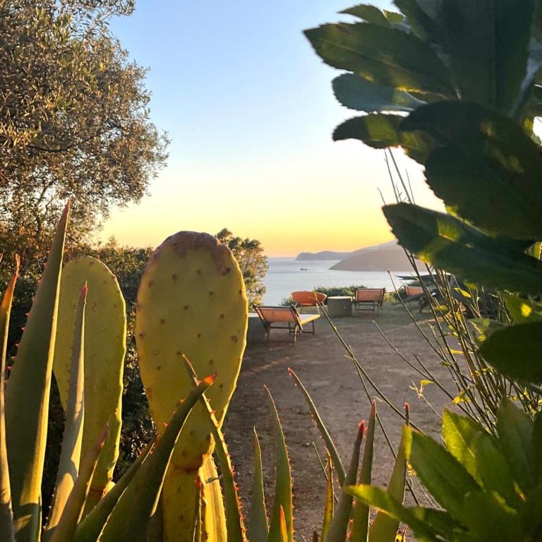 Residenza Rosso Di Sera - Appartamento con Vista Mare - 19